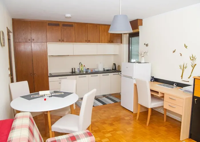 Karlie Rogaška Slatina